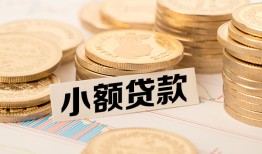 东莞19空放-东莞19个人短借-东莞19身份证小额贷款