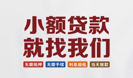 东莞19信用贷款网-东莞19哪里可以私人借款-东莞19短借当天借钱