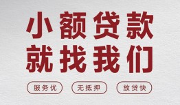 东莞19小额短借-东莞19短借私借空放-东莞19抵押身份证贷款